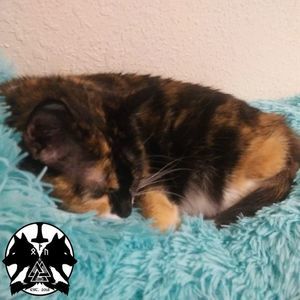 Meet your Posher, Kathryn